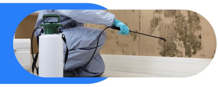 Pest Control Keysborough