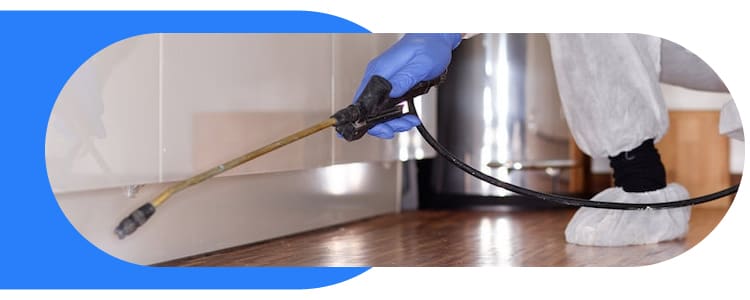 Pest Control Langwarrin