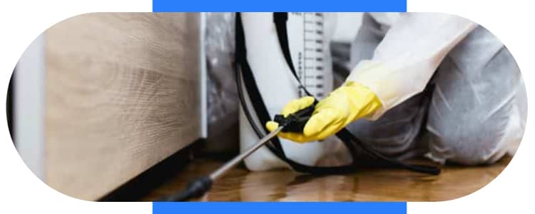 Pest Control Narre Warren South