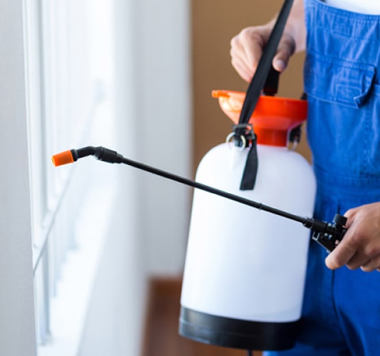 Professional Pest Control Melbourne