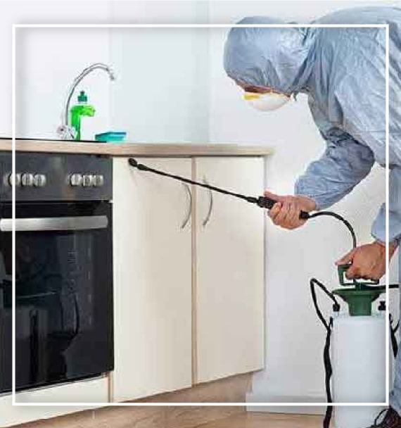 Residential Pest Control Services Mornington